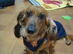 づらっとー な てんかいー?