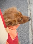 うぇんーすちぐんそうーじゃないよー